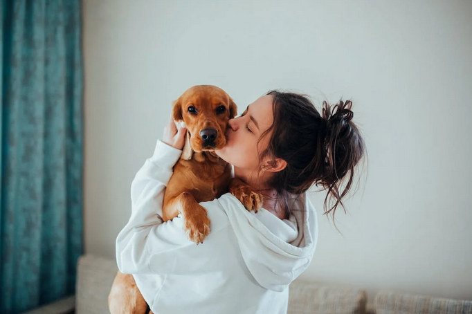 dog